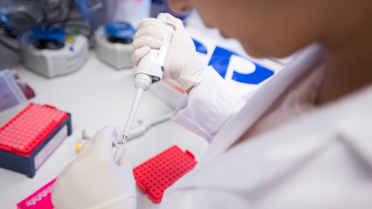 Doctor Testing Samples | Weill Cornell Medical Center