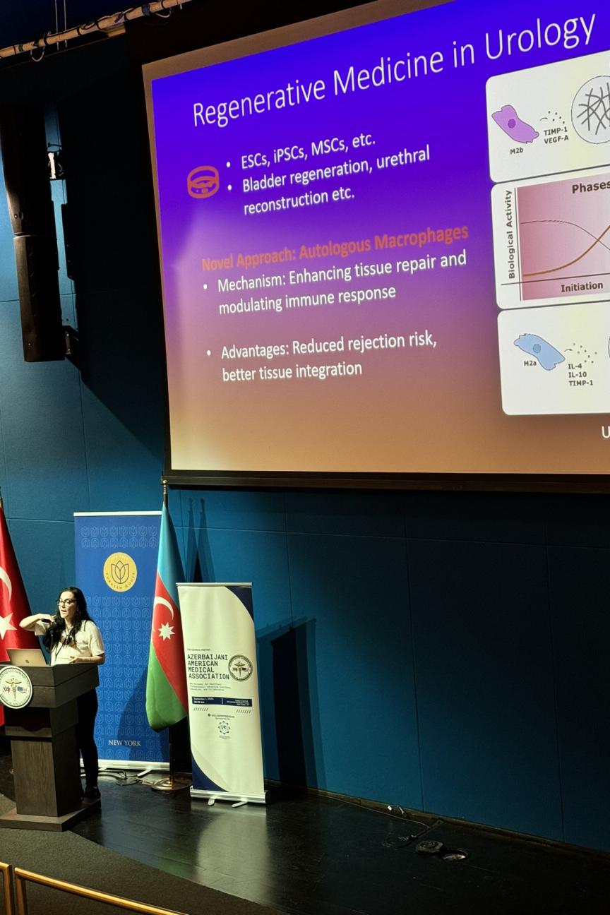 Ilaha Presenting